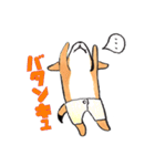 パンツ犬（個別スタンプ：37）