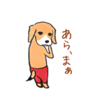 パンツ犬（個別スタンプ：39）