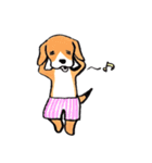 パンツ犬（個別スタンプ：40）