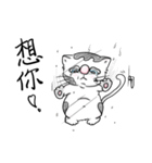 fat.cat.diary（個別スタンプ：12）