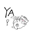fat.cat.diary（個別スタンプ：24）