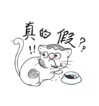fat.cat.diary（個別スタンプ：29）