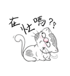 fat.cat.diary（個別スタンプ：34）