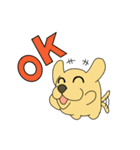 たま犬さん（コッカー）（個別スタンプ：1）
