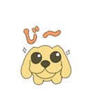 たま犬さん（コッカー）（個別スタンプ：8）