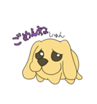 たま犬さん（コッカー）（個別スタンプ：11）