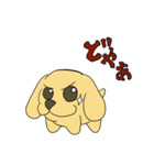 たま犬さん（コッカー）（個別スタンプ：15）