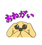 たま犬さん（コッカー）（個別スタンプ：21）