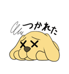 たま犬さん（コッカー）（個別スタンプ：22）