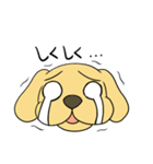たま犬さん（コッカー）（個別スタンプ：24）