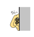 たま犬さん（コッカー）（個別スタンプ：29）