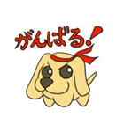 たま犬さん（コッカー）（個別スタンプ：34）