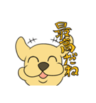 たま犬さん（コッカー）（個別スタンプ：37）