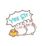 Rabbit - ham (ENG)（個別スタンプ：12）