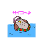 ふくろうフラップ君1匹目（個別スタンプ：13）