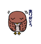 ふくろうフラップ君1匹目（個別スタンプ：40）