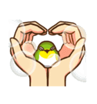 Chu Chu is coming！（個別スタンプ：35）