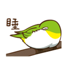 Chu Chu is coming！（個別スタンプ：37）