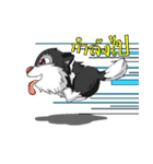 puppy maxnum（個別スタンプ：5）