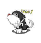puppy maxnum（個別スタンプ：6）