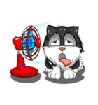 puppy maxnum（個別スタンプ：17）