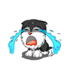 puppy maxnum（個別スタンプ：36）