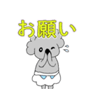 ベビーこあら＊。（個別スタンプ：6）