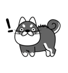 fat shiba inu（個別スタンプ：2）