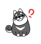 fat shiba inu（個別スタンプ：3）