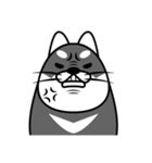 fat shiba inu（個別スタンプ：4）