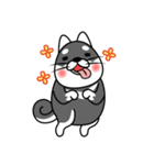 fat shiba inu（個別スタンプ：6）