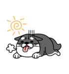 fat shiba inu（個別スタンプ：9）