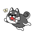 fat shiba inu（個別スタンプ：10）