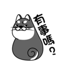 fat shiba inu（個別スタンプ：12）