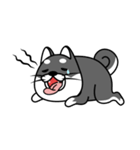 fat shiba inu（個別スタンプ：13）