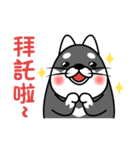 fat shiba inu（個別スタンプ：14）