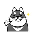 fat shiba inu（個別スタンプ：19）