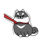 fat shiba inu（個別スタンプ：21）