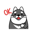 fat shiba inu（個別スタンプ：24）