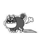 fat shiba inu（個別スタンプ：25）