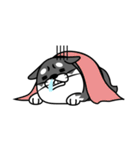 fat shiba inu（個別スタンプ：26）