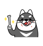 fat shiba inu（個別スタンプ：28）