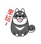 fat shiba inu（個別スタンプ：32）