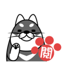 fat shiba inu（個別スタンプ：34）
