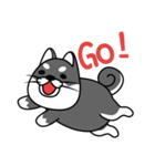 fat shiba inu（個別スタンプ：35）