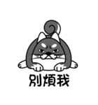 fat shiba inu（個別スタンプ：37）