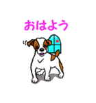 チャミの相棒ウィッシュボーン 3（個別スタンプ：1）
