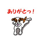 チャミの相棒ウィッシュボーン 3（個別スタンプ：3）