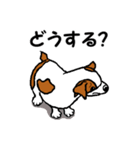 チャミの相棒ウィッシュボーン 3（個別スタンプ：4）
