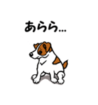 チャミの相棒ウィッシュボーン 3（個別スタンプ：5）
